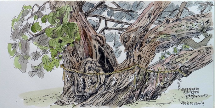 花城康雄 「アッシジの春」 絵画 花城康雄 「アッシジの春」 絵画